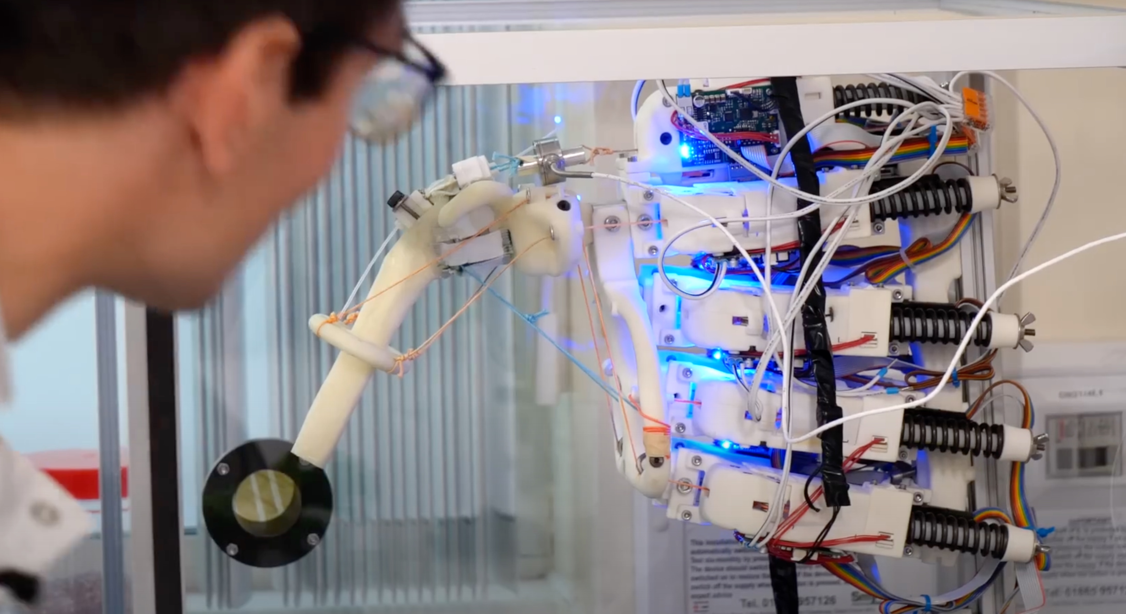 Devanthro is founded – from student team to R&D company